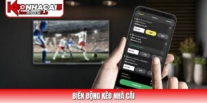 Biến Động Kèo Nhà Cái: Bí Quyết Nhận Diện Bẫy Từ Sàn Cược