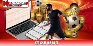 Giải Thích Kèo Chấp Nửa Trái (1/2) Dễ Hiểu Nhất