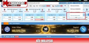Kèo Malaysia (MY): Cách Đọc Và Quy Đổi Tỷ Lệ Odds
