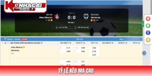 Tỷ Lệ Kèo Ma Cao (Macau Odds) Là Gì? Cách Đọc Kèo